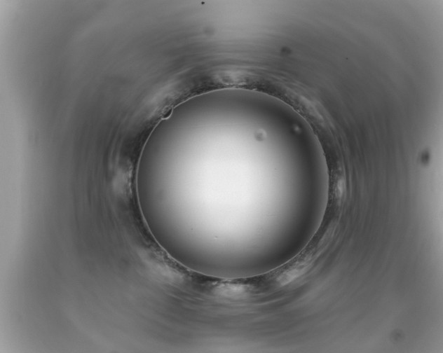 X0000092080332200709121449