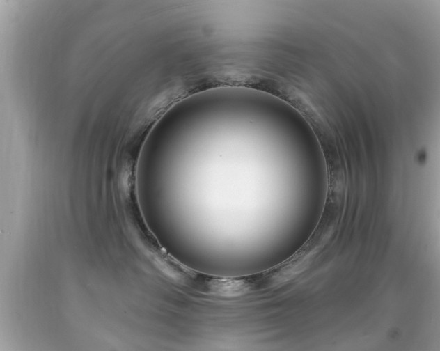 X0000092080334200709121449