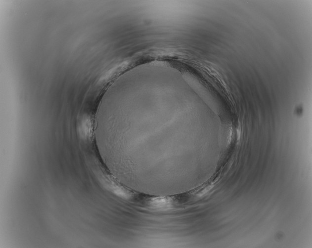 X0000092080335200709121449