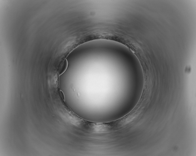 X0000092080336200709121449