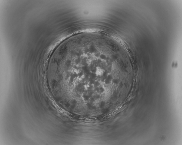X0000092080337200709121448
