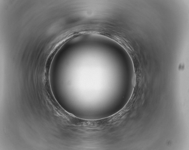 X0000092080338200709121448