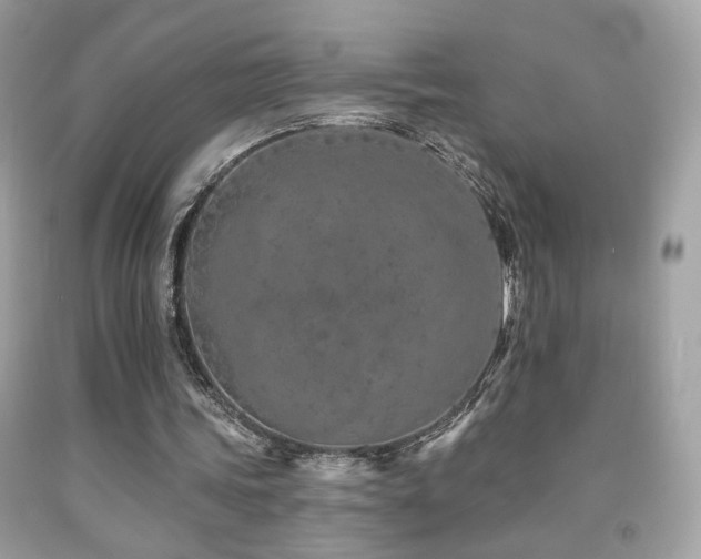 X0000092080339200709121448