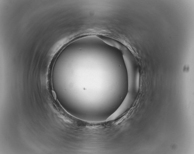 X0000092080340200709121448