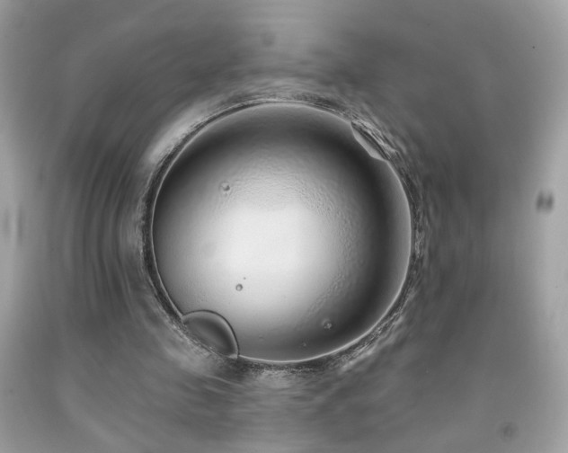 X0000092080341200709121448