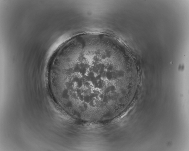 X0000092080343200709121448