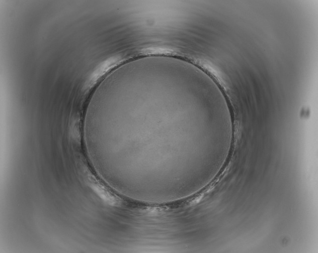 X0000092080345200709121448