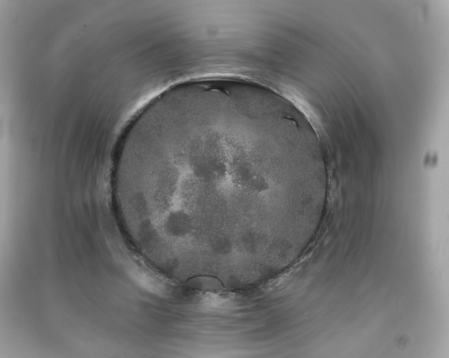 X0000092080346200709121448