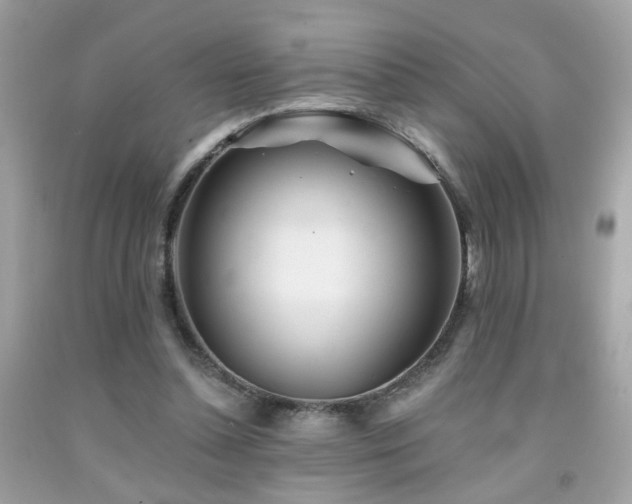 X0000092080348200709121449
