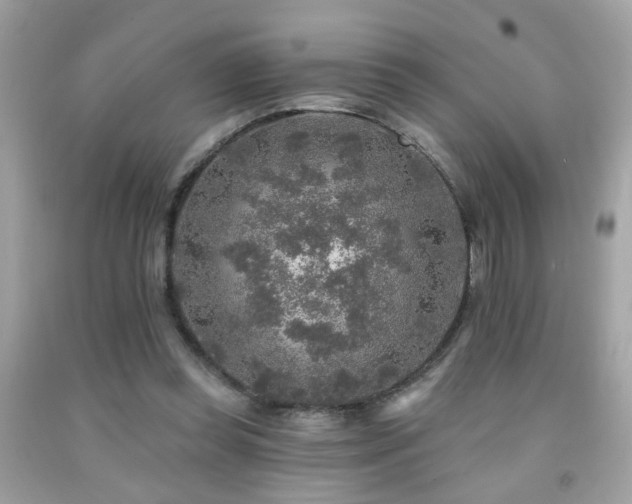 X0000092080349200709121449