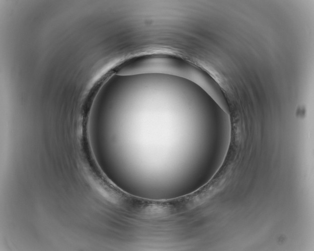 X0000092080350200709121449