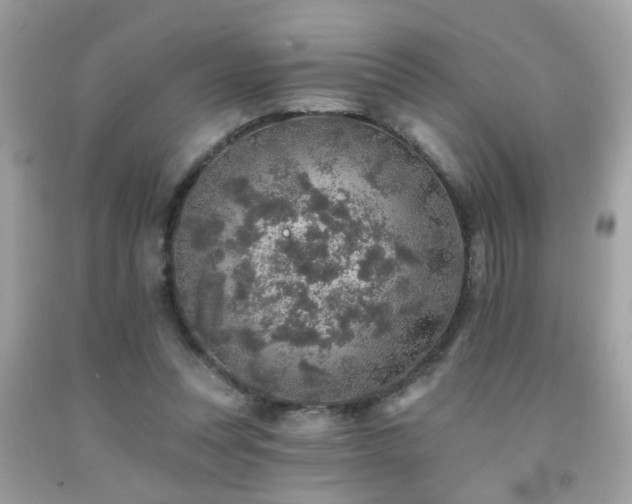 X0000092080351200709121449