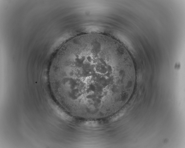 X0000092080353200709121449