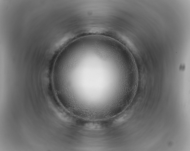 X0000092080354200709121449