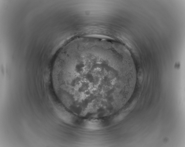 X0000092080359200709121449