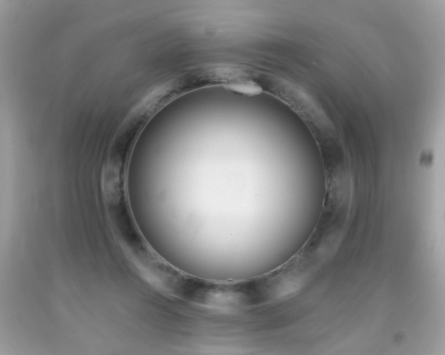 X0000092080360200709121449