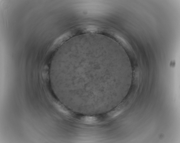 X0000092080361200709121449