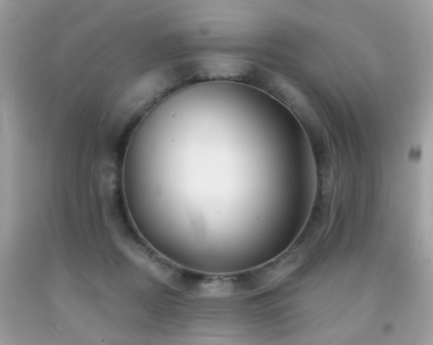 X0000092080362200709121449