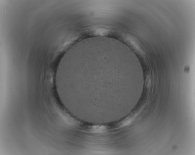 X0000092080363200709121449