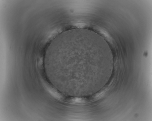 X0000092080365200709121449