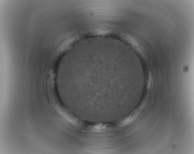 X0000092080366200709121449