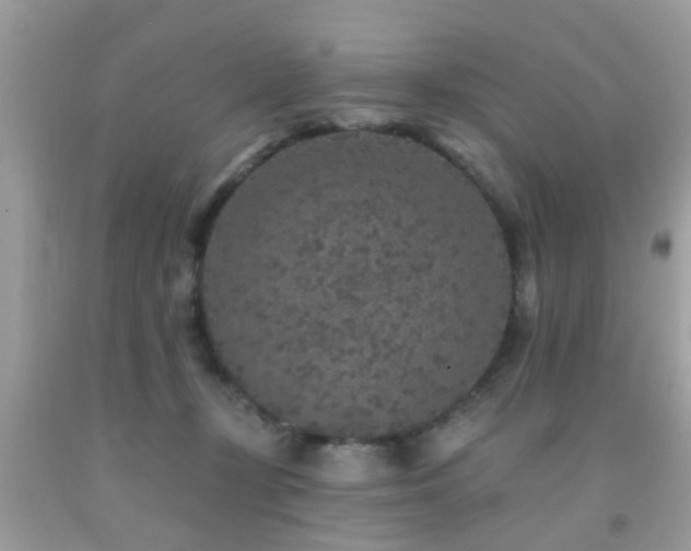 X0000092080367200709121449