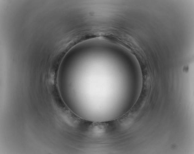 X0000092080368200709121449