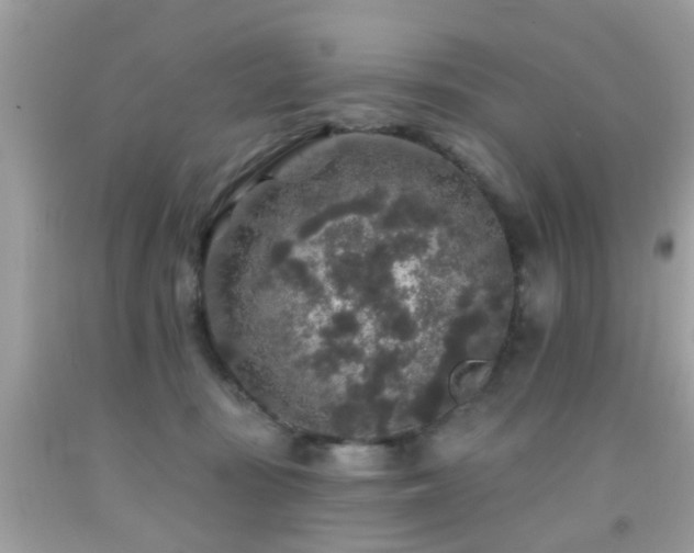 X0000092080371200709121449