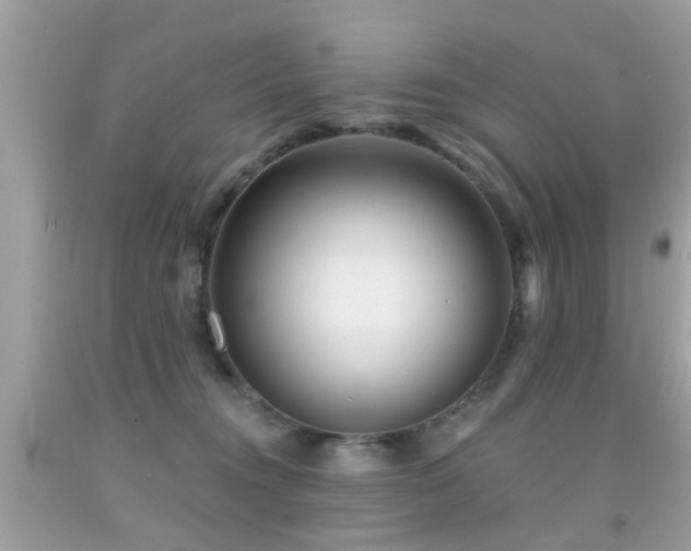 X0000092080372200709121449