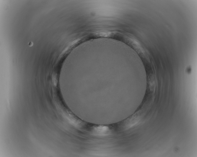 X0000092080374200709121449