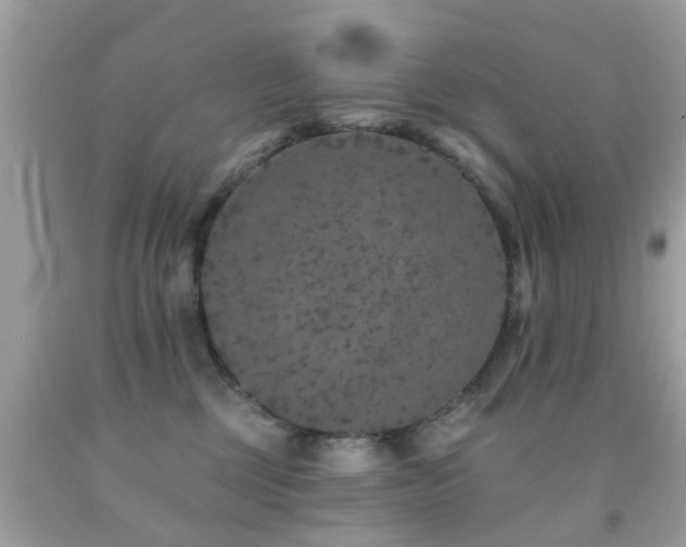 X0000092080377200709121449