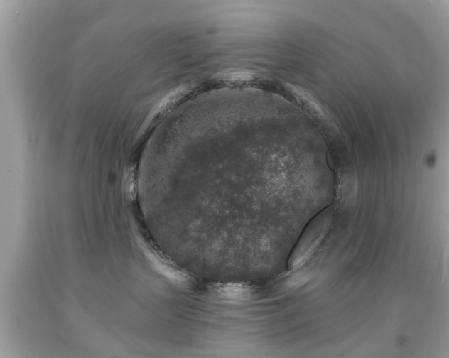 X0000092080383200709121449