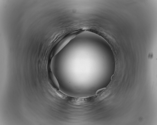 X0000092080384200709121449