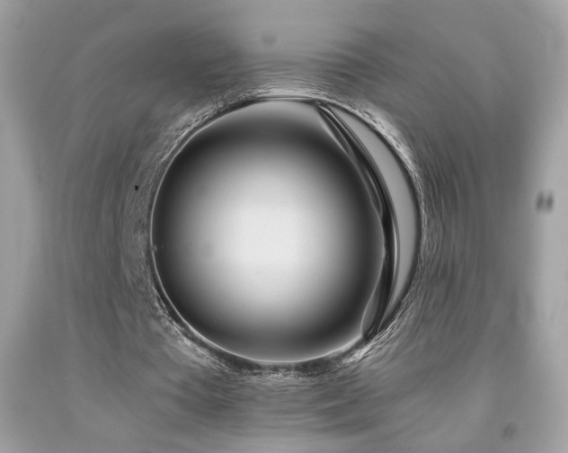 X0000092080385200709121448