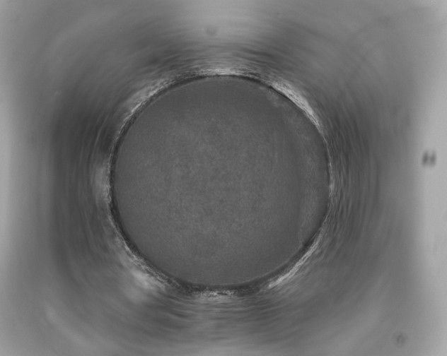 X0000092080386200709121448