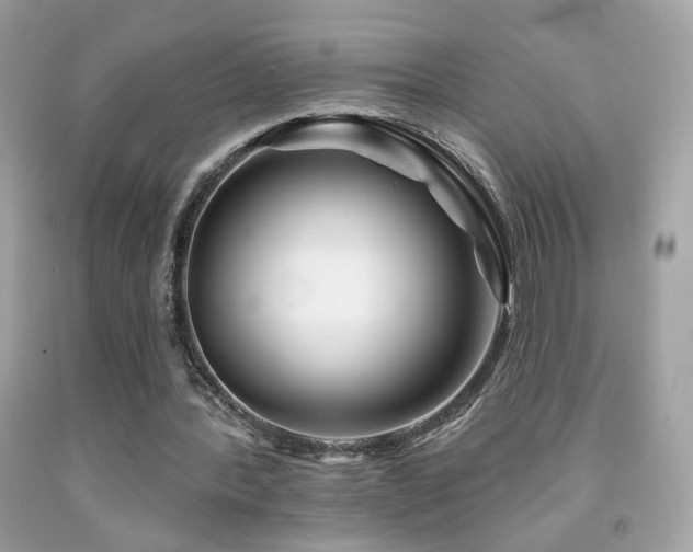 X0000092080388200709121448