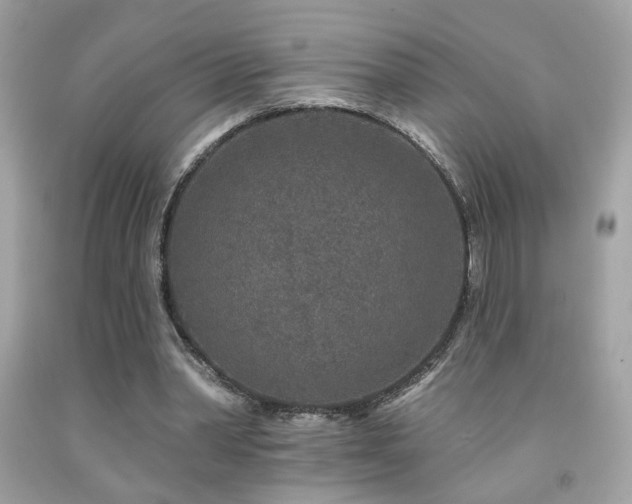 X0000092080390200709121448