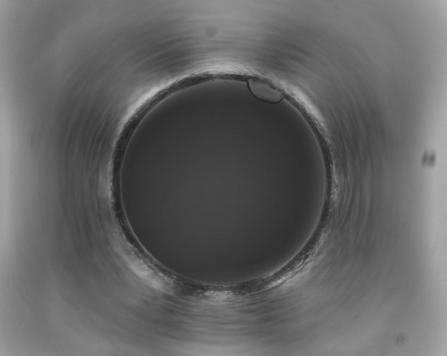 X0000092080391200709121448