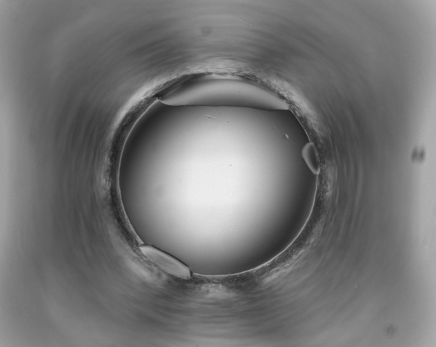 X0000092080392200709121448