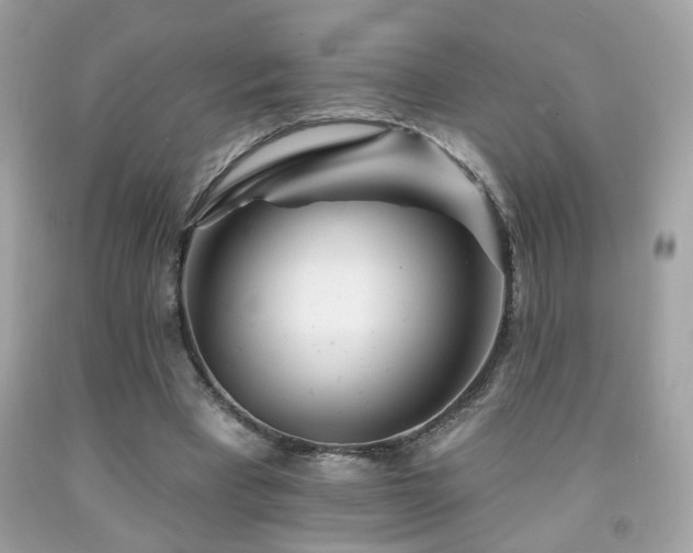 X0000092080393200709121448