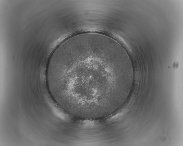 X0000092080394200709121448