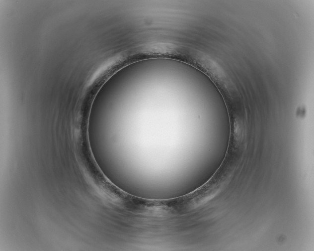 X0000092080396200709121448