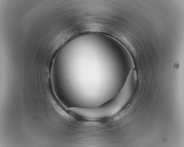 X0000092080397200709121448