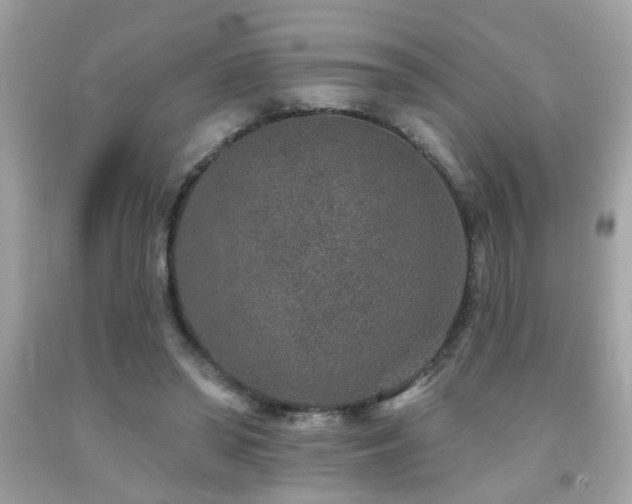 X0000092080398200709121448