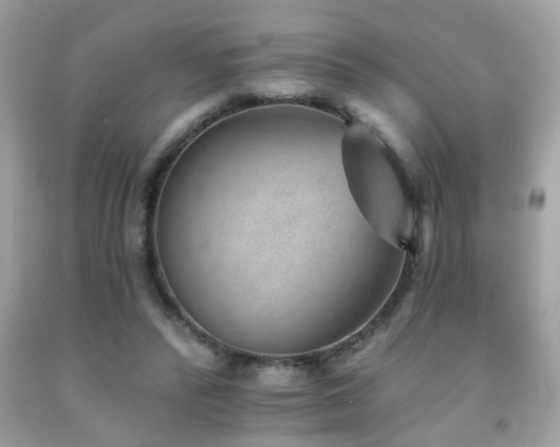 X0000092080400200709121448