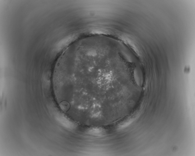 X0000092080402200709121448