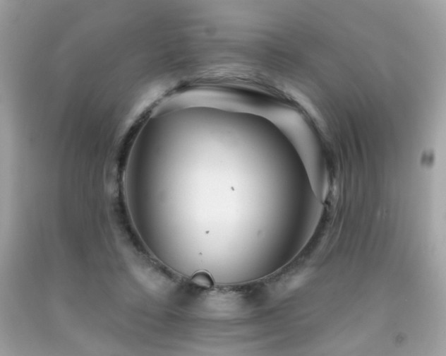 X0000092080403200709121448