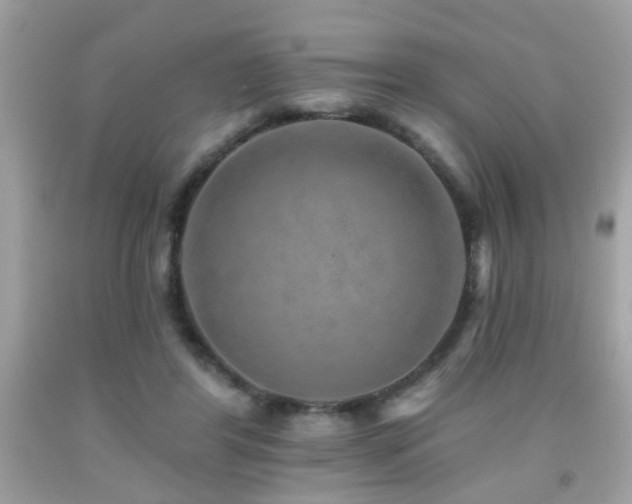 X0000092080404200709121448