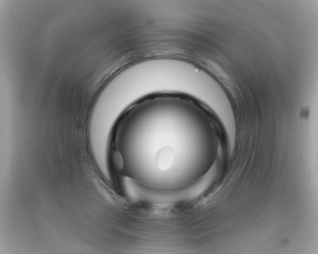 X0000092080405200709121448