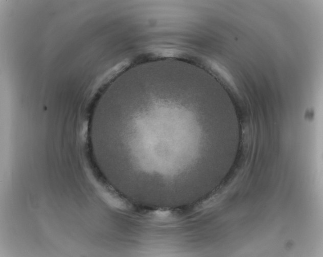 X0000092080406200709121448